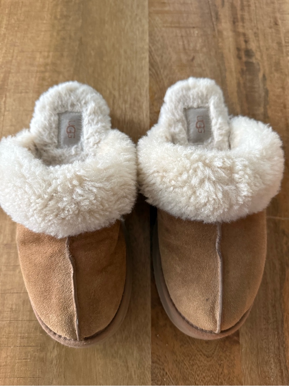 UGG Women's Chestnut Suede Slippers with Cream Shearling Cuff
